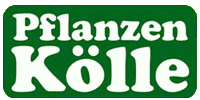 Pflanzen Kölle