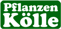 Pflanzen Kölle