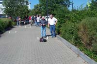 Zum Vergrössern bitte draufklicken...